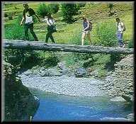 Famous Sights TajMahal